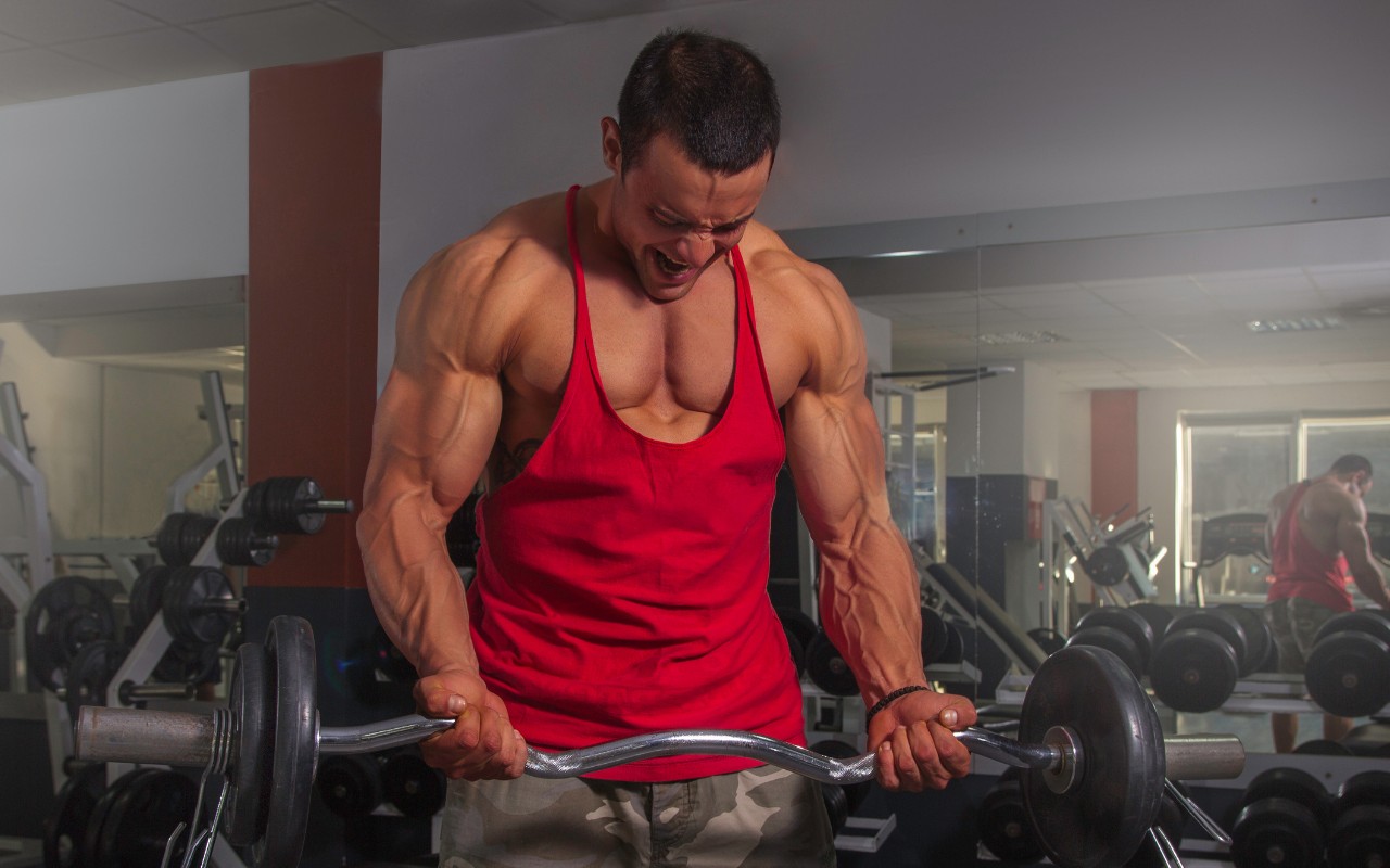 Segredos do Treino de Bíceps: Como Alcançar Braços Definidos e Tonificados  – 10suplementos